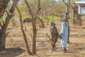 Two Sudanese people in wearing long robes and headscarves walk through dry grove of trees littered with refuse. The figure on the left looks over her shoulder with a worried expression.